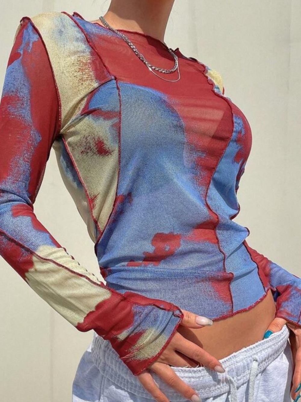 Long Sleeve Sheer Crewneck Top